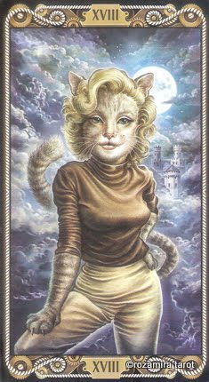 CatTarot